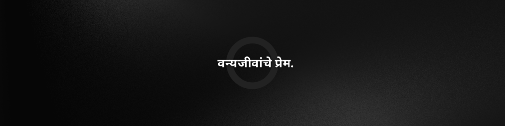 Instagram bio in Marathi