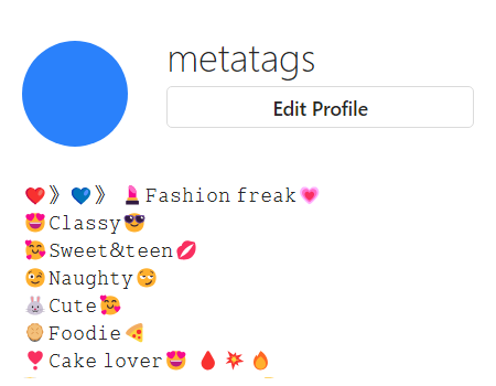 Instagram stylish bio