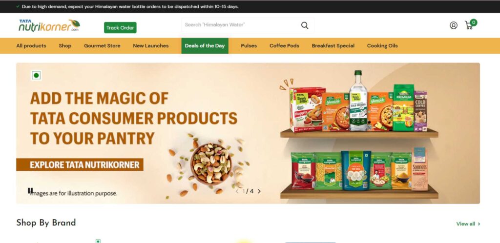 Masala Brands in India