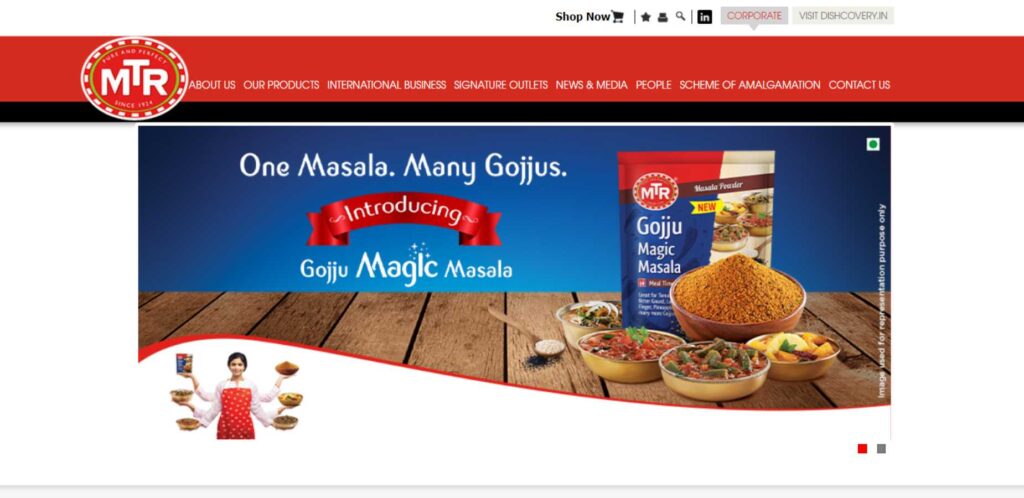 Masala Brands in India