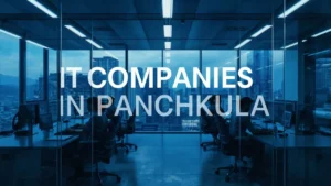 IT Companies in Panchkula