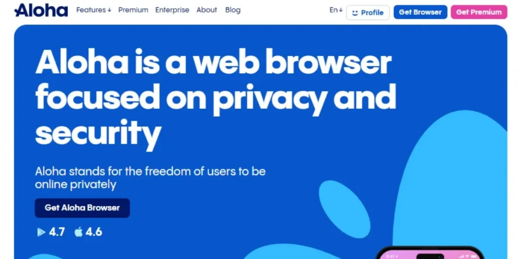 Browsers with Built-in VPN