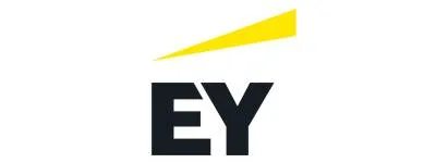 Big 4 CA Firms in India