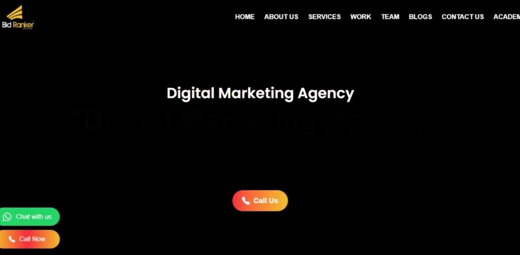 Digital Marketing Agencies in Raipur