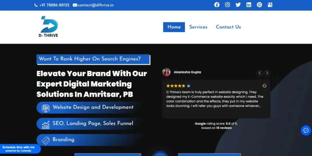 D'Thrive - Digital Marketing Companies in Amritsar