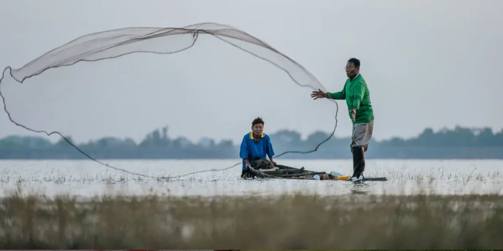 Fish Farming - Business Ideas in Assam
