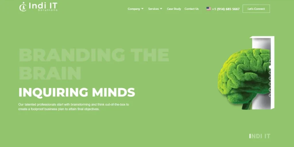 Indi IT Solutions - Website Development Companies in Mohali