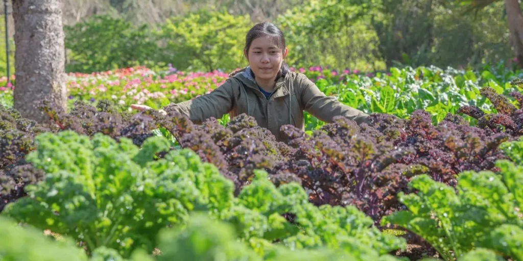 Organic Vegetable & Greens Farming - Business Ideas in Tamil Nadu