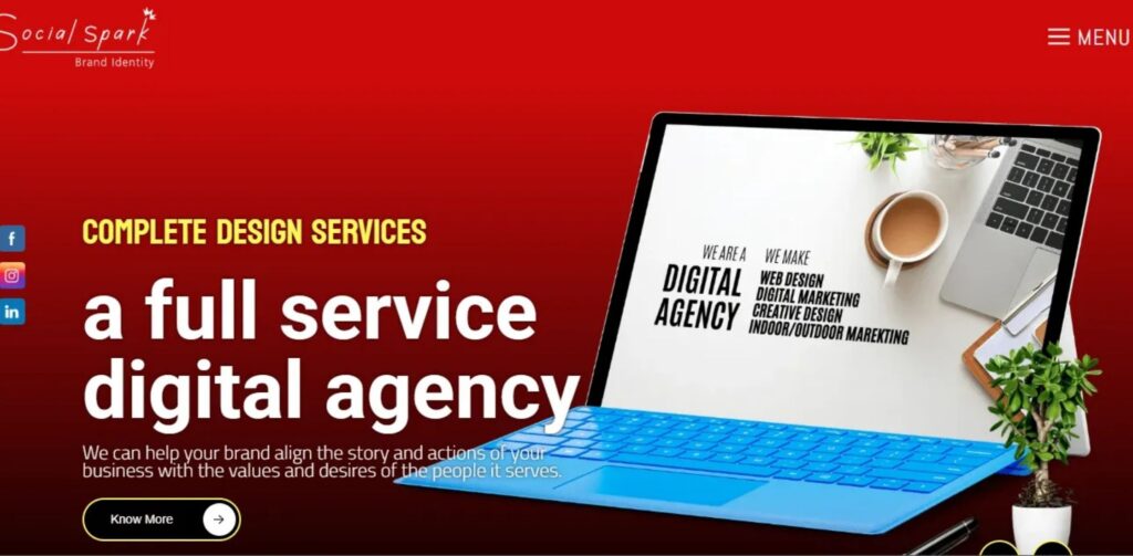 Digital Marketing Agencies in Raipur